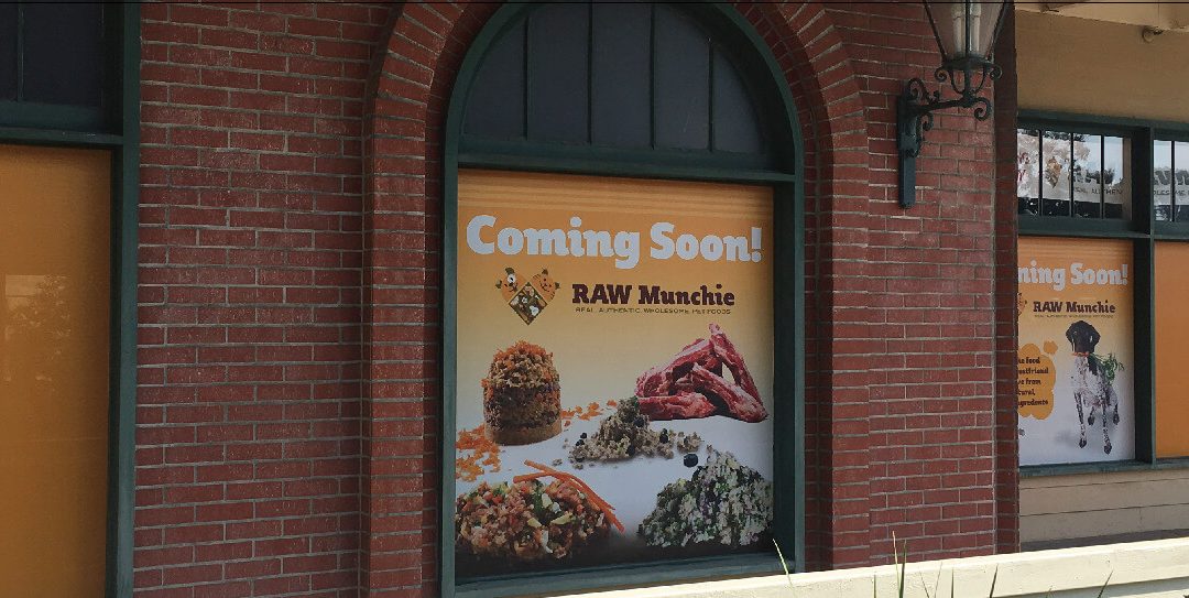 Promotional Signs That Get Businesses Noticed: How Smart Signage Drives Real Results